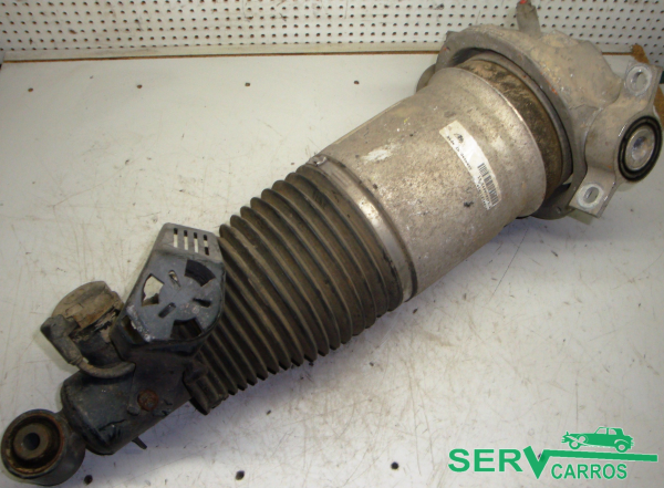 Ammortizzatore Posteriore Sinistro PORSCHE Cayenne (9PA)