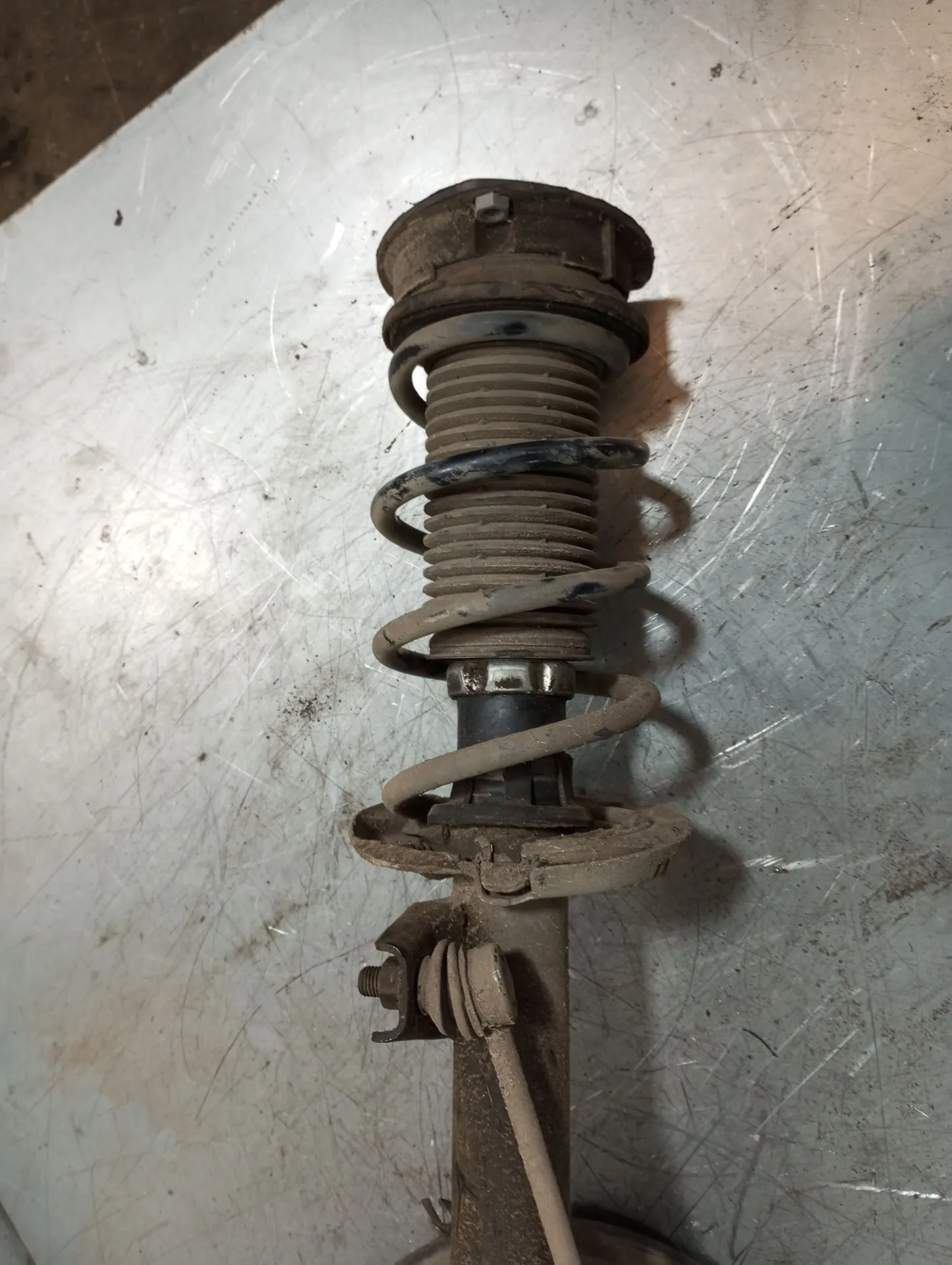 Amortiguador Delantero Izquierdo SEAT Leon SC (5F5) Imagem-1