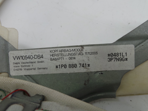 Airbag a Tendina Sinistra SEAT Leon (1P1) Imagem-1