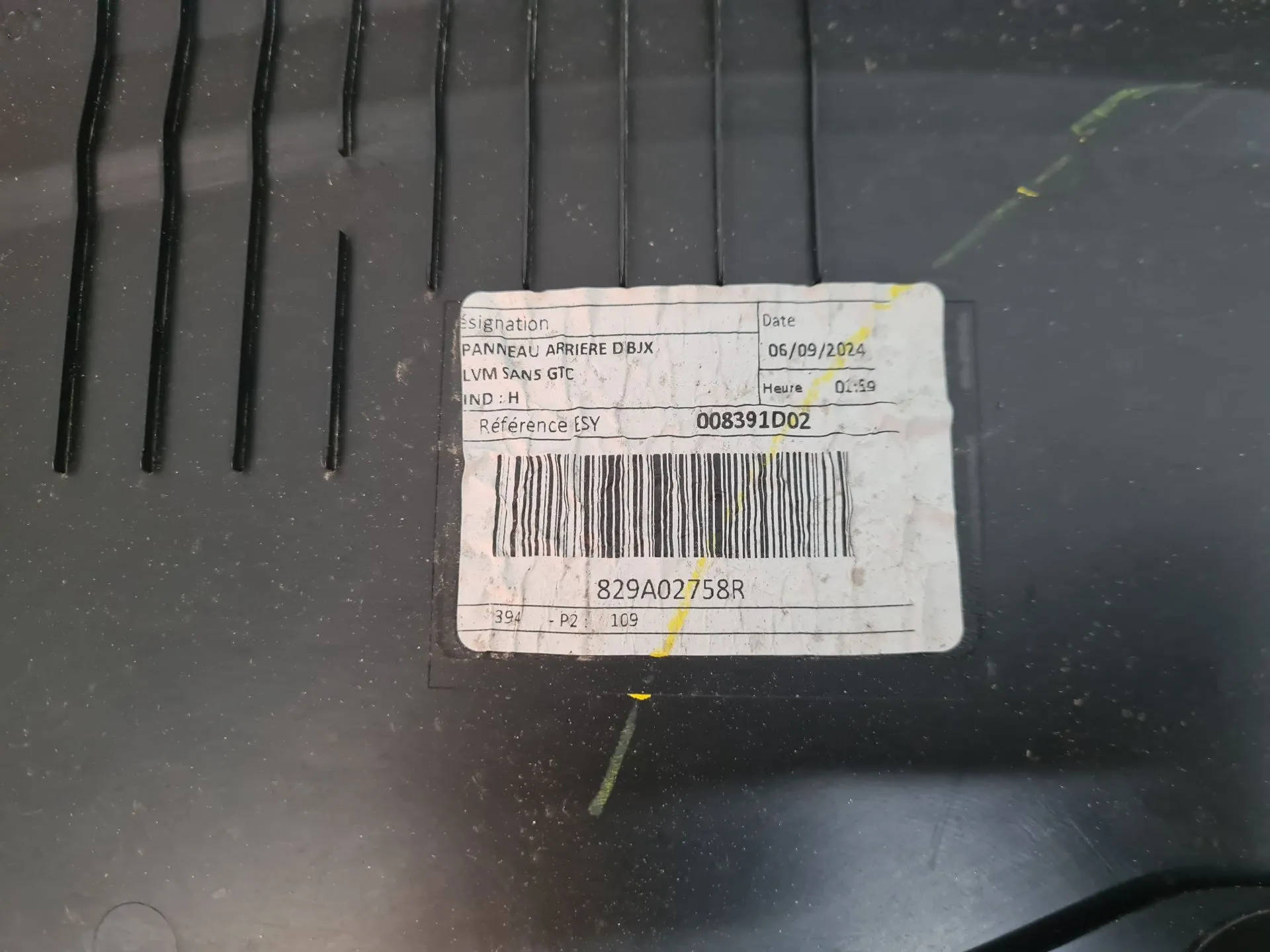 Rivestimento porta posteriore destra DACIA Sandero III Imagem-6