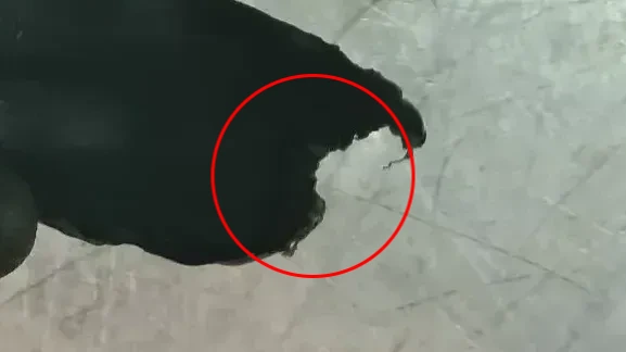 Kit de Airbags DS DS3 Crossback Imagem-13