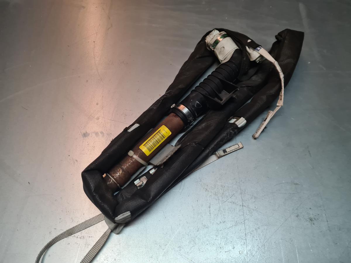 Airbag a Tendina Sinistra RENAULT Megane II (BM0/1_, CM0/1_) Imagem-1