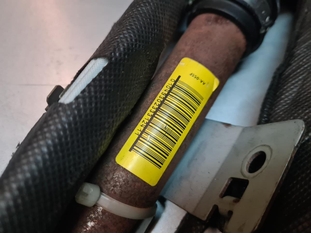 Airbag a Tendina Sinistra RENAULT Megane II (BM0/1_, CM0/1_) Imagem-3