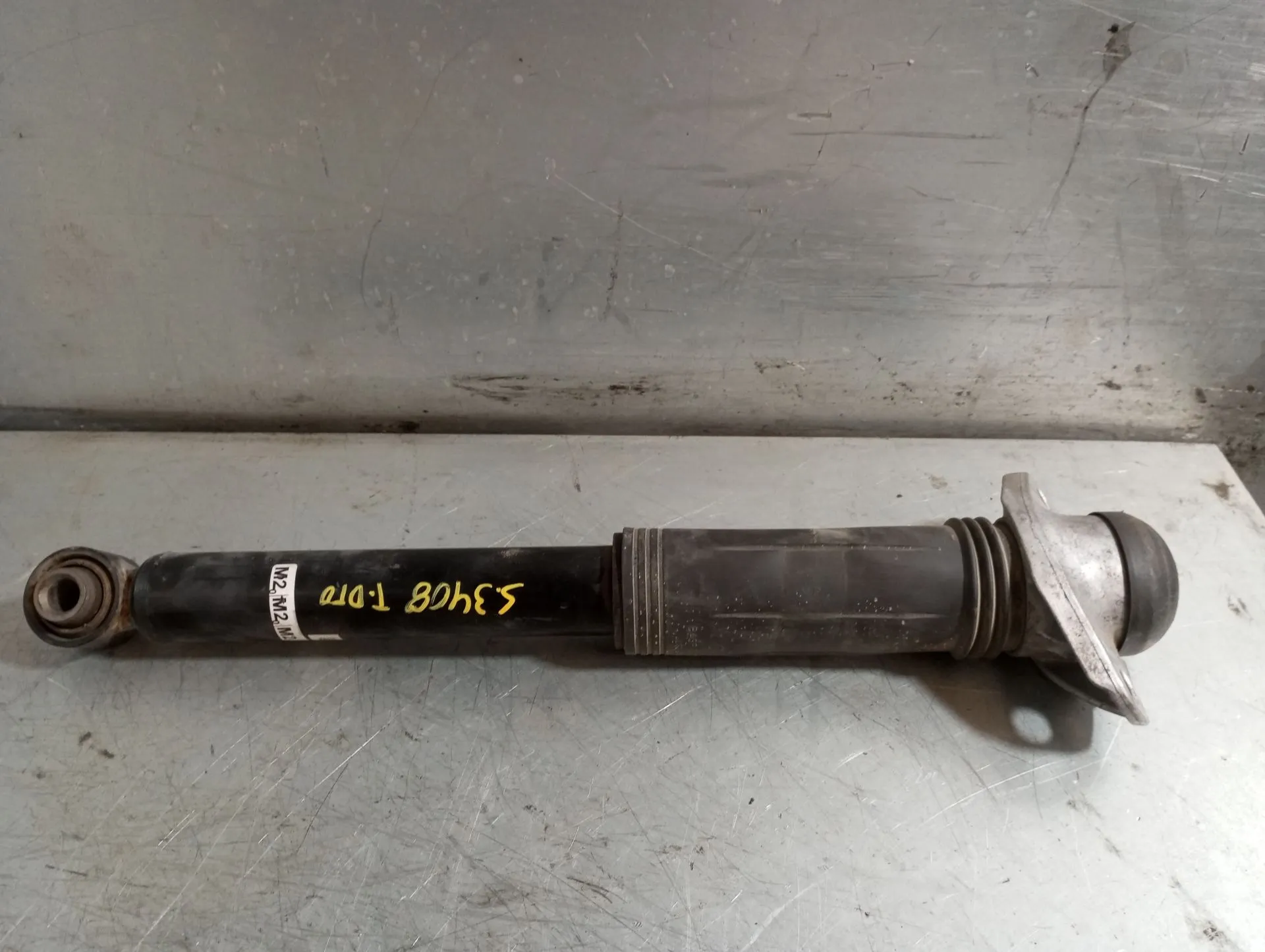 Amortiguador Trasero Derecho TOYOTA Corolla Hatchback (_E21_)