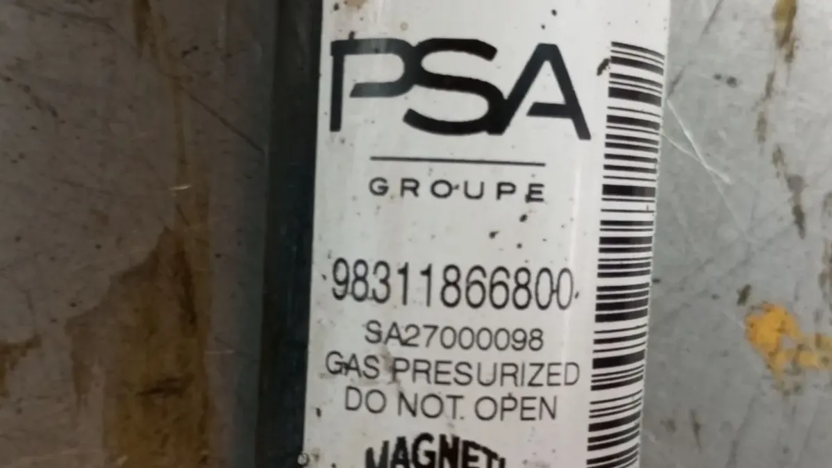 Ammortizzatore Posteriore Destro PEUGEOT 208 II Imagem-2