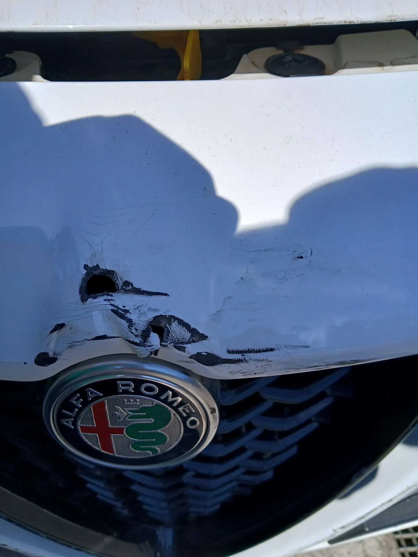 Frente Completa ALFA ROMEO Stelvio (949_) Imagem-15