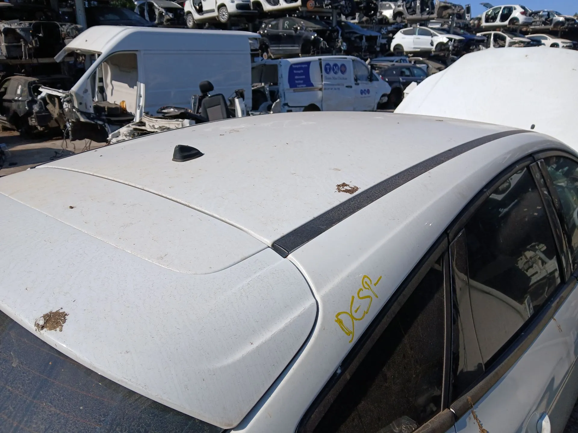 Techo FORD Focus III Imagem-1