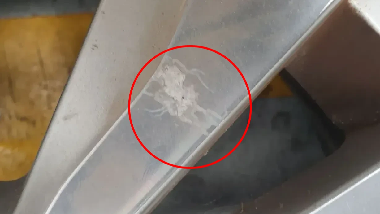 Cerchio Posteriore Destro VOLKSWAGEN Golf VII (5G1, BQ1, BE1, BE2) Imagem-4