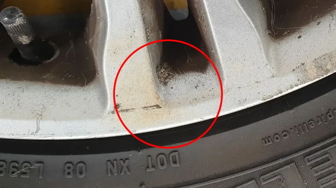 Cerchio Anteriore Destro LAND ROVER Range Rover Evoque (L538) Imagem-6