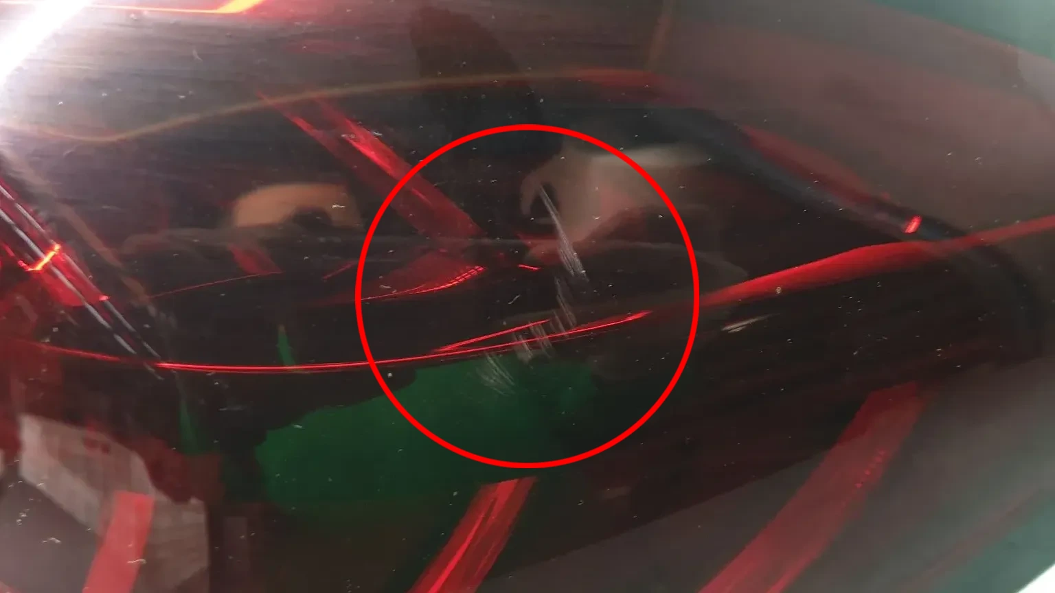 Feu arrière Droite RENAULT Captur (J5_) Imagem-5