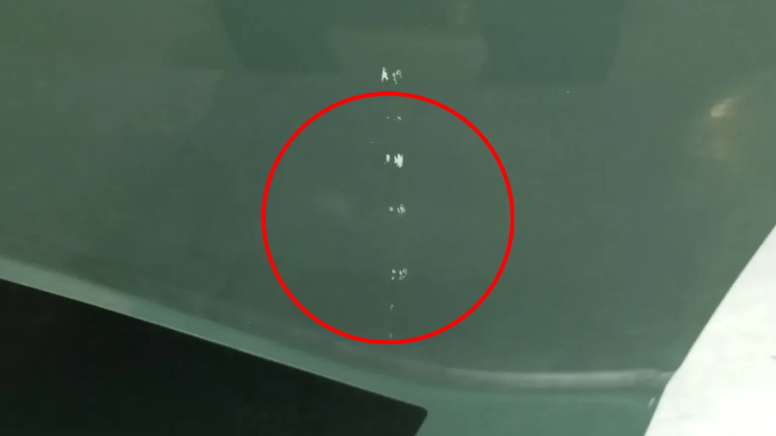 Left rear door DACIA Sandero III Imagem-4