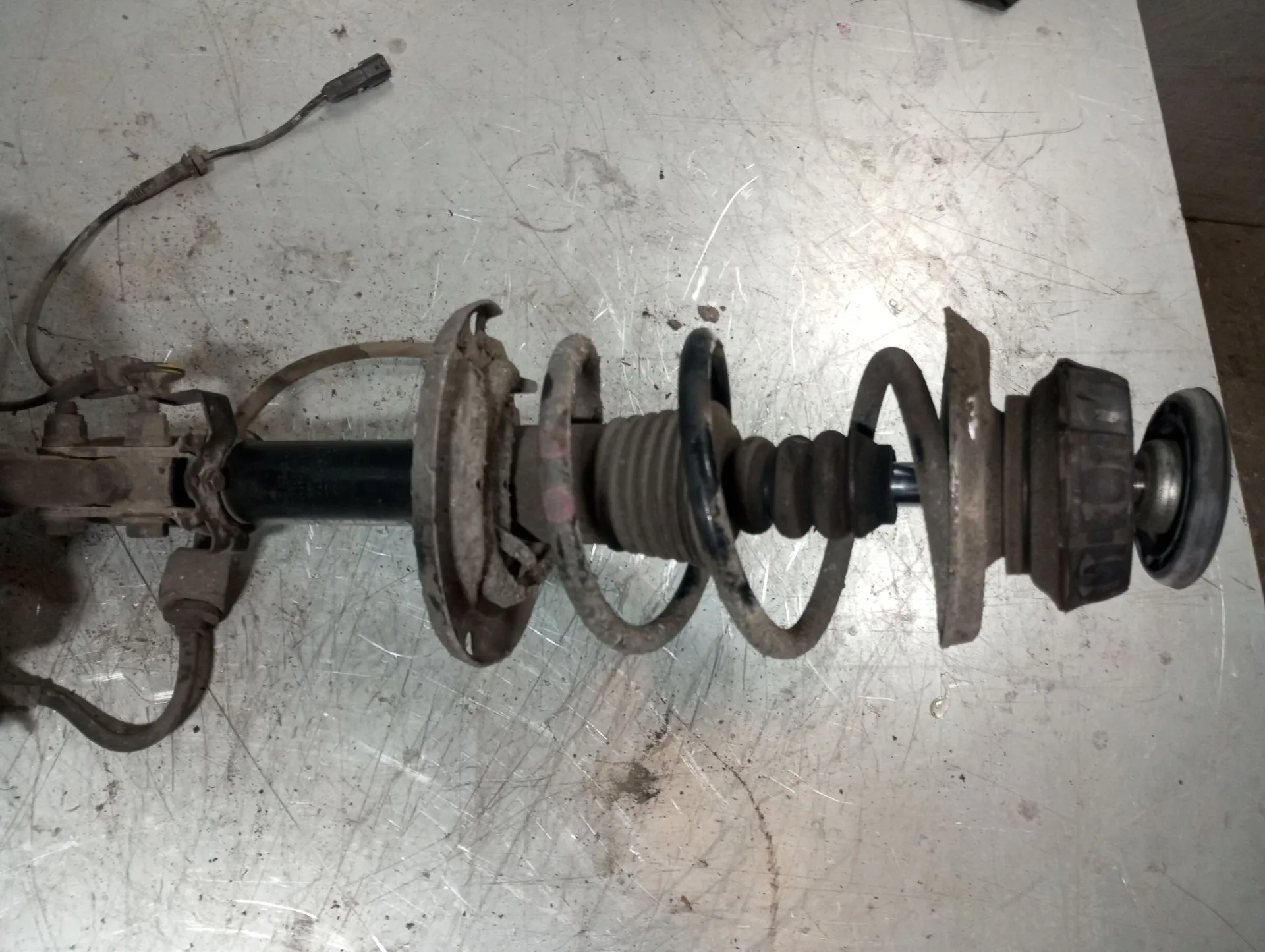 Amortecedor frente direito DACIA Sandero II (5S_)