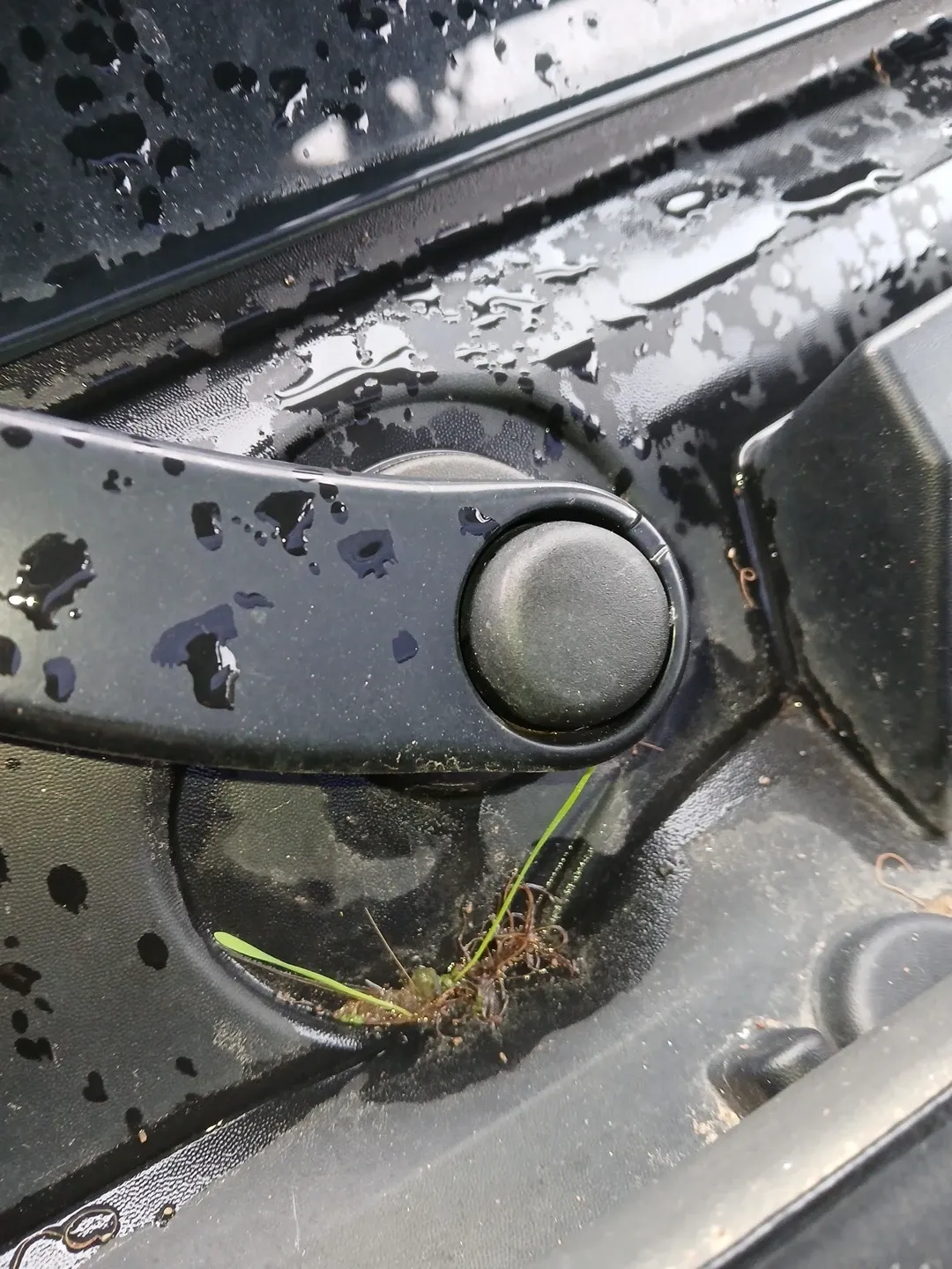 Motor limpiaparabrisas Frente RENAULT Trafic III (FG_)