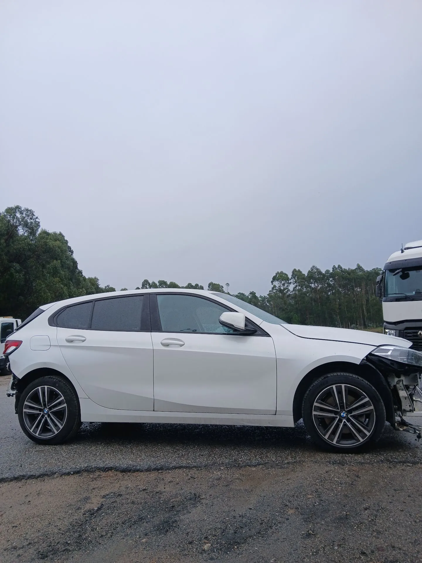 Elevalunas delantero derecho BMW 1 (F40)