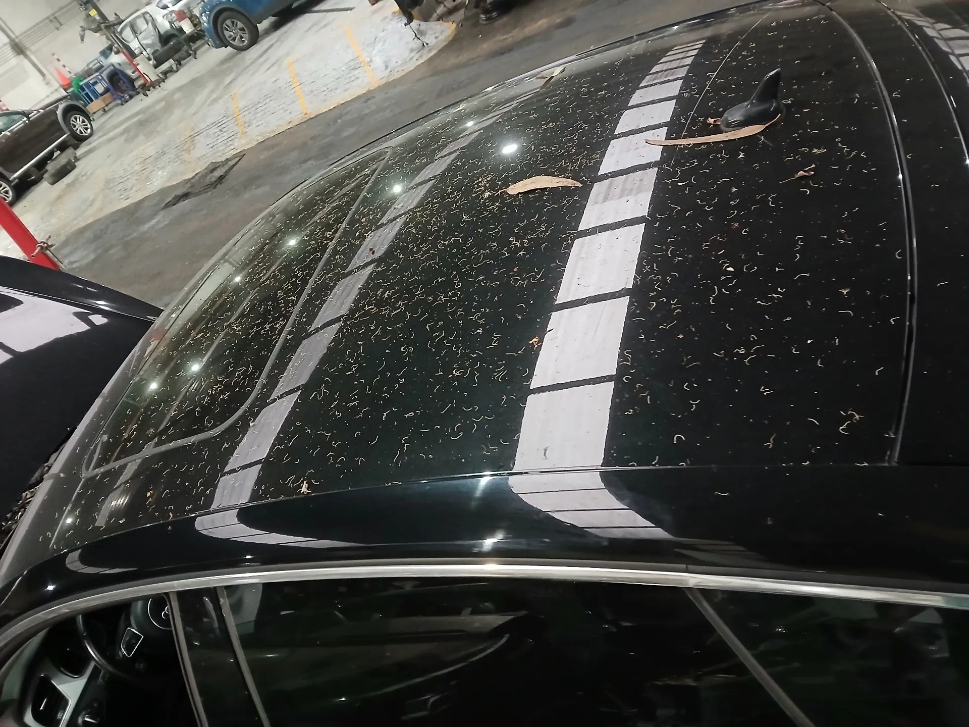 Tetto AUDI A5 Sportback (8TA) Imagem-1