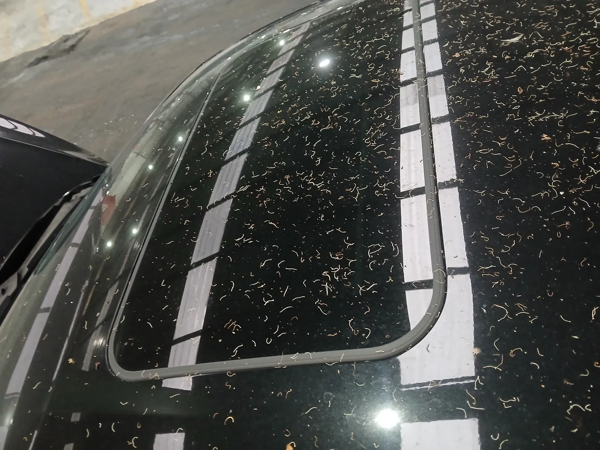 Tetto AUDI A5 Sportback (8TA) Imagem-2