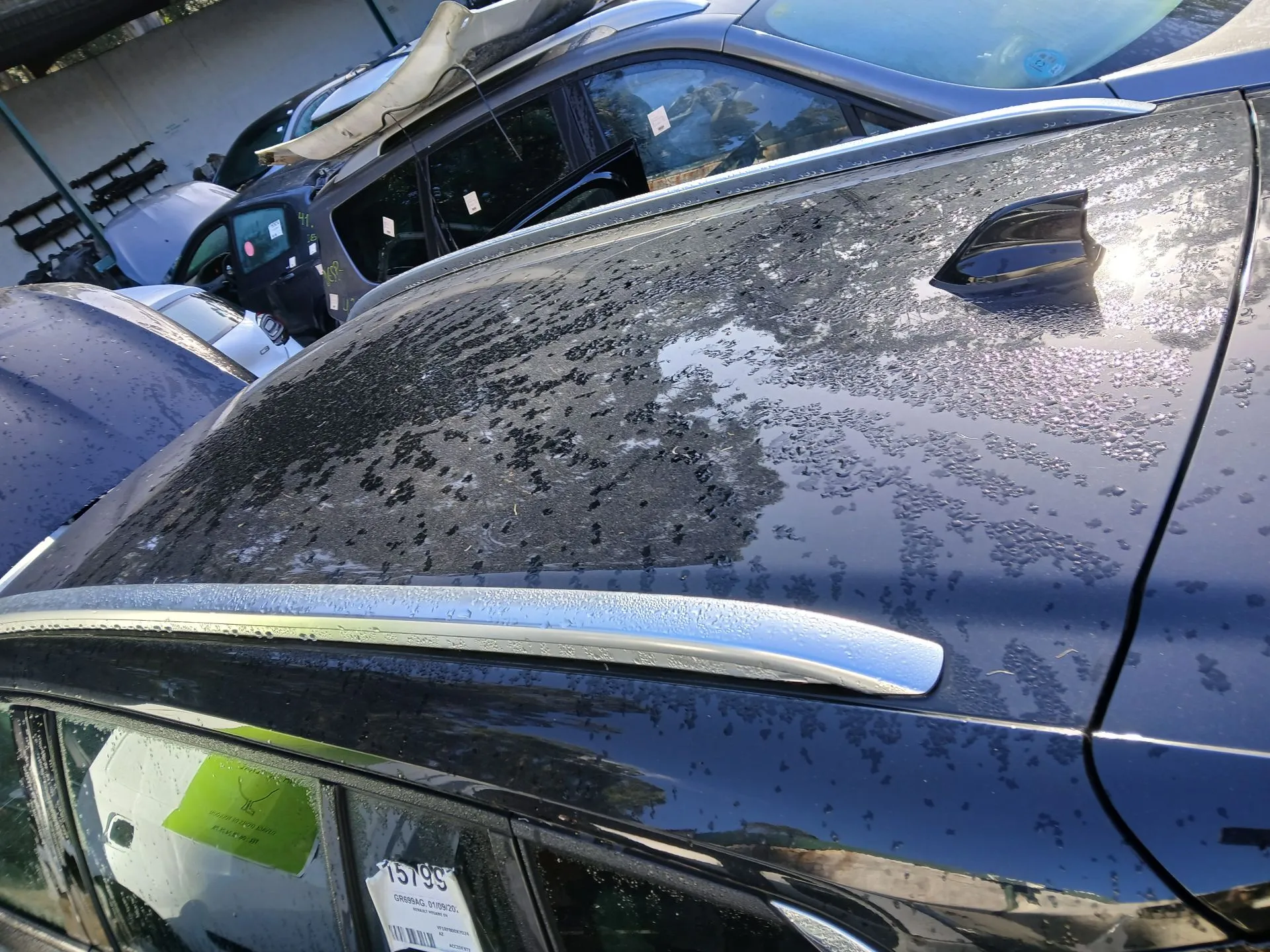 Roof RENAULT Megane IV Grandtour (K9A/M_) Imagem-1