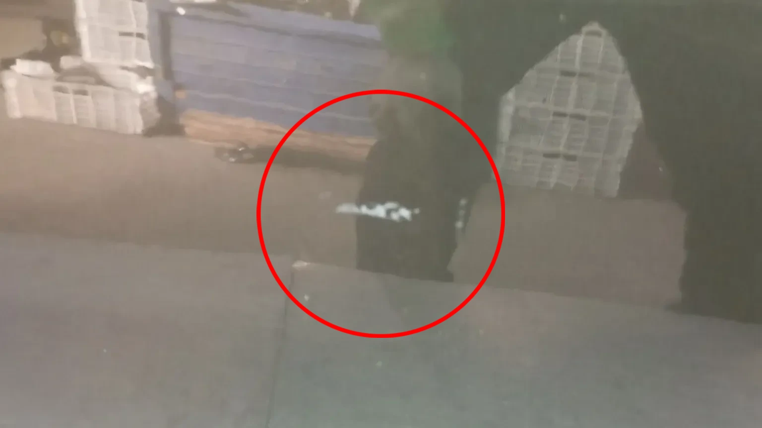 Porta frente direita CITROËN DS4 (NX_) Imagem-4