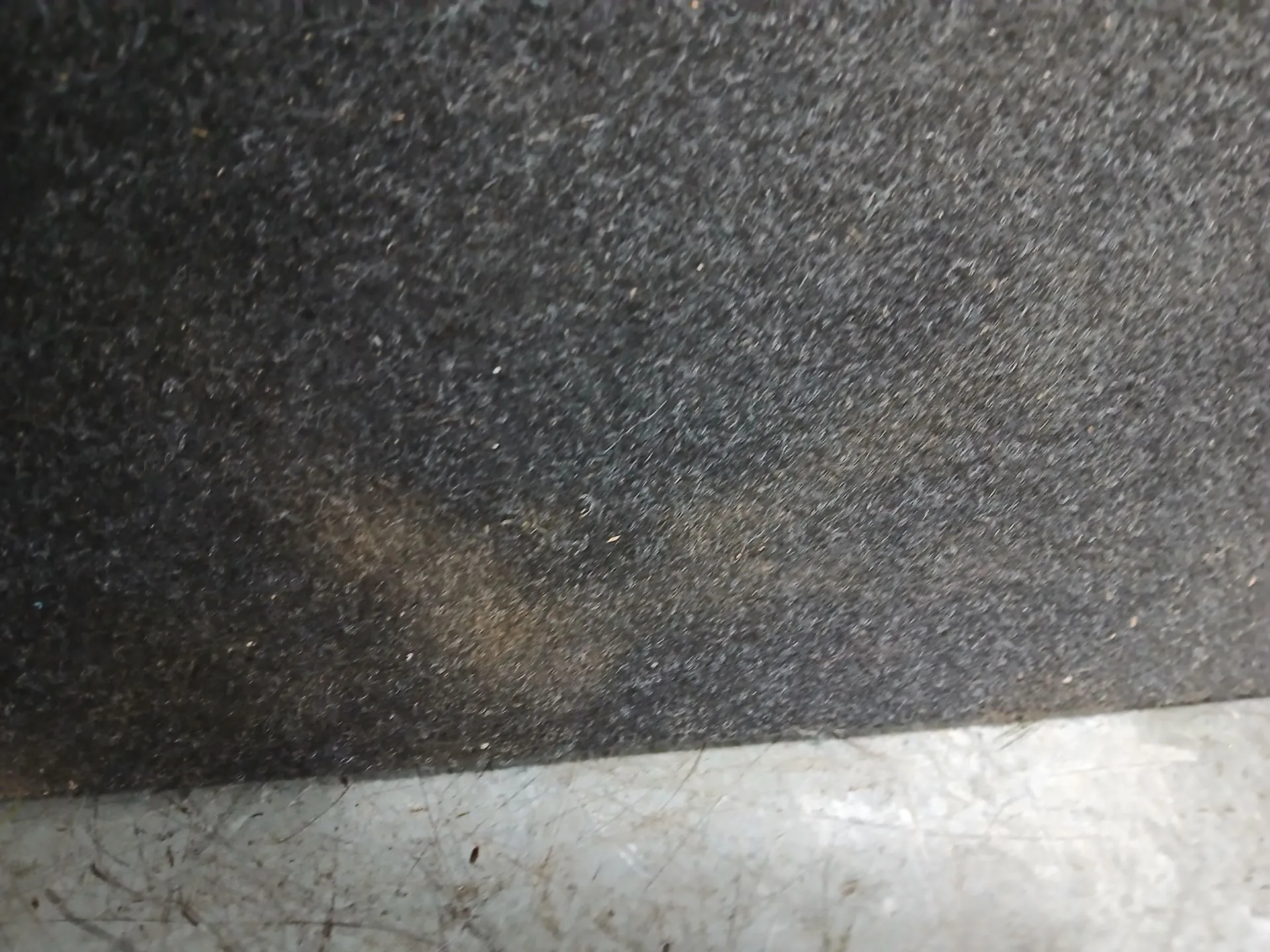 Cobertura inferior/ tapete / alcatifa da mala VOLVO XC40 (536) Imagem-3