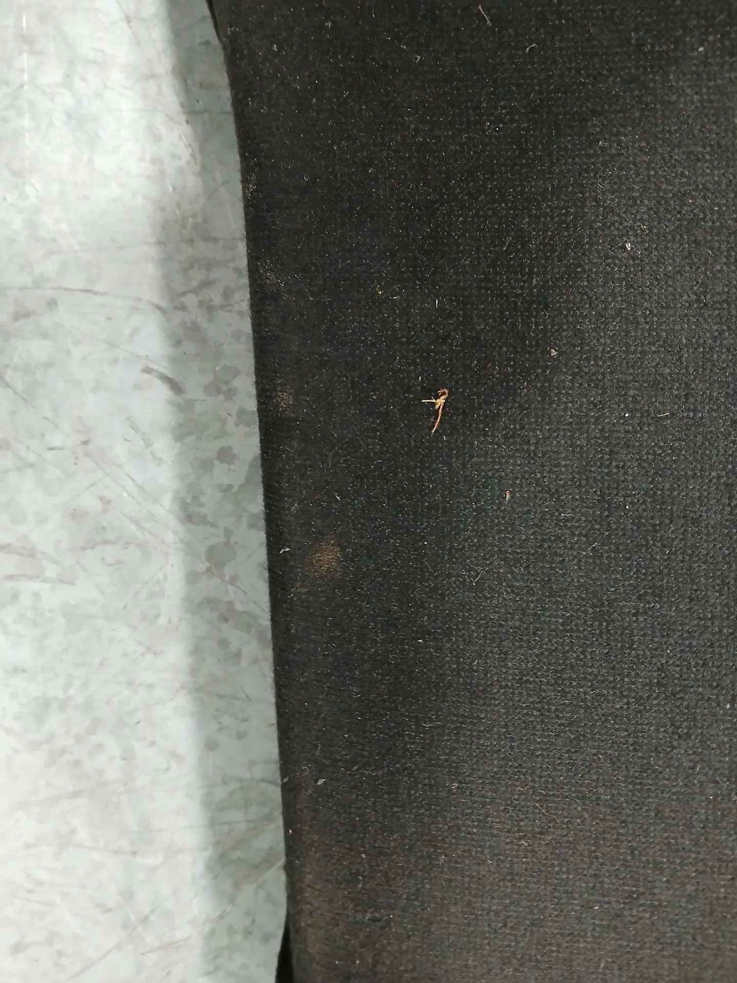 Cappelliera Posteriore RENAULT Megane IV (B9A/M_) Imagem-4