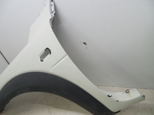 Parafango sinistro LAND ROVER Freelander (L314) Imagem-1