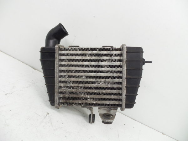 Intercooler HYUNDAI Getz (TB) Imagem-1