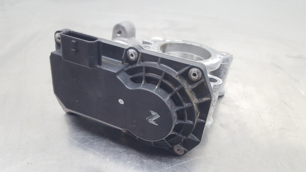 Corpo borboleta RENAULT Scénic III (JZ0/1_)