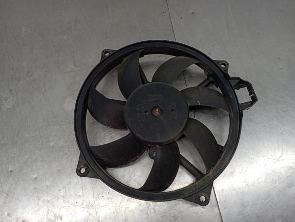 Elettroventola RENAULT Scénic III (JZ0/1_)