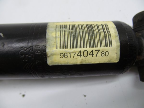 Ammortizzatore Posteriore Destro CITROËN C4 Picasso II Imagem-3