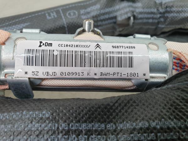 Left Curtain Airbag CITROËN C5 III (RD_) Imagem-2