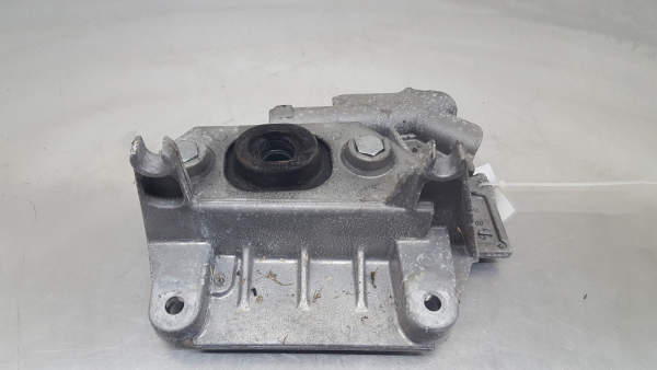 Supporto Motore RENAULT Clio III (BR0/1, CR0/1)