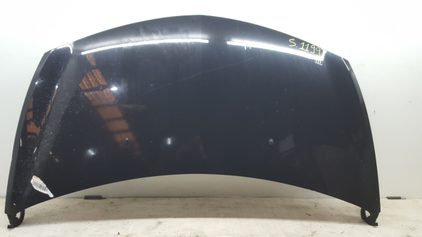 Capot RENAULT Clio III (BR0/1, CR0/1)
