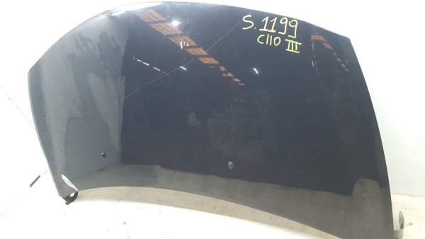 Capot RENAULT Clio III (BR0/1, CR0/1) Imagem-3