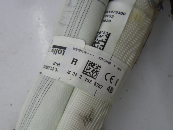 Airbag Rideau Droite RENAULT Megane IV (B9A/M_) Imagem-1