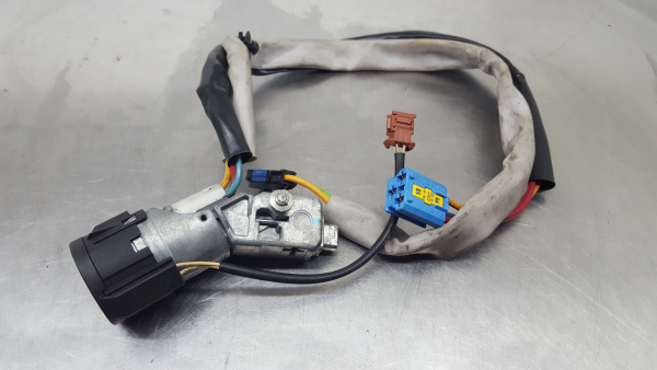 Cilindretto accensione PEUGEOT 307 CC (3B) Imagem-1