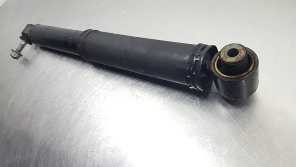 Ammortizzatore Posteriore Sinistro RENAULT Megane III Coupé (DZ0/1_) Imagem-2