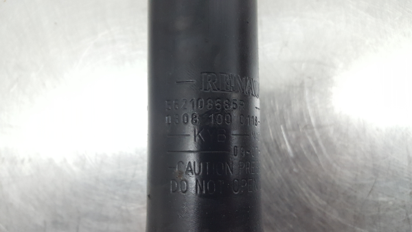 Ammortizzatore Posteriore Sinistro RENAULT Megane III Coupé (DZ0/1_) Imagem-3