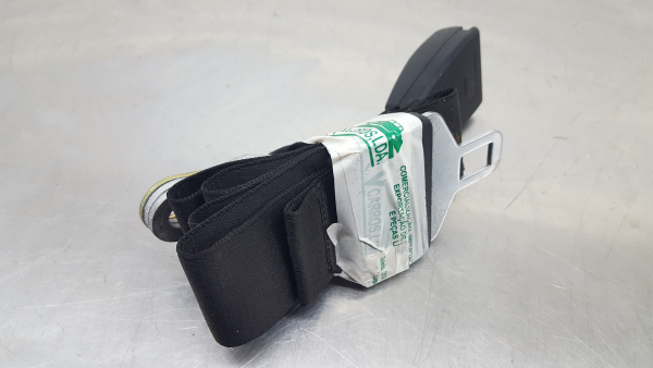 Pretensor cinturón Delantero Izquierdo BMW 3 (E46)