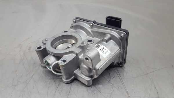 Corpo borboleta RENAULT Megane IV (B9A/M_)