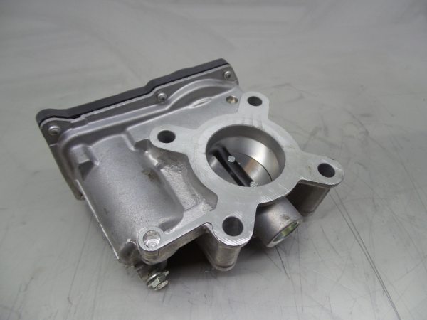 Corpo borboleta RENAULT Clio IV (BH_)