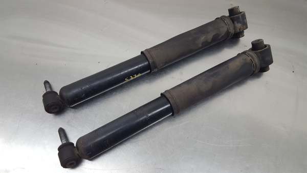 Ammortizzatore Posteriore Destro RENAULT Megane III (BZ0_)