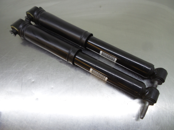 Amortiguador Trasero Derecho RENAULT Megane IV (B9A/M_)