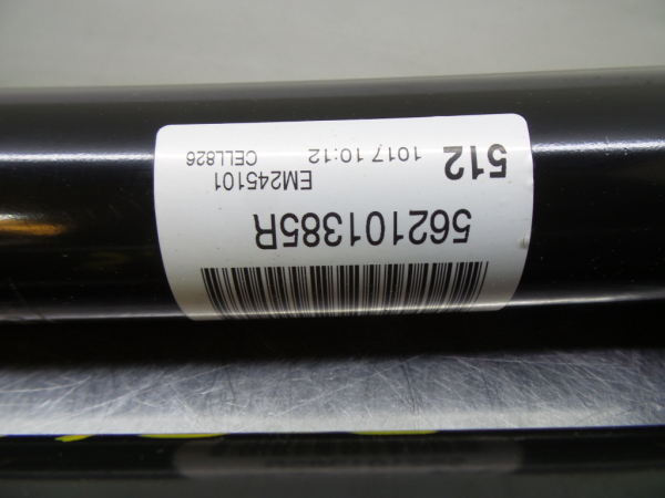 Amortiguador Trasero Izquierdo RENAULT Megane IV (B9A/M_) Imagem-4