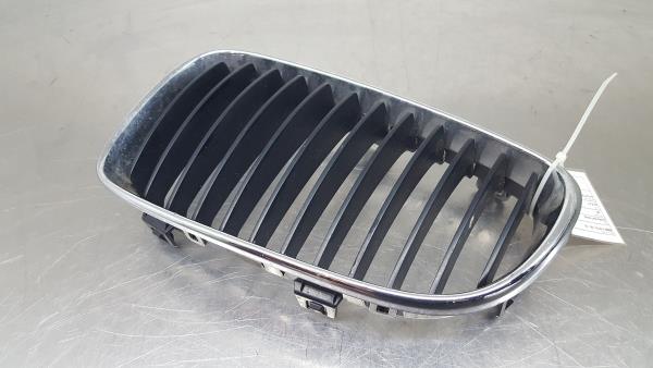 Grelha frente BMW 5 (F10)