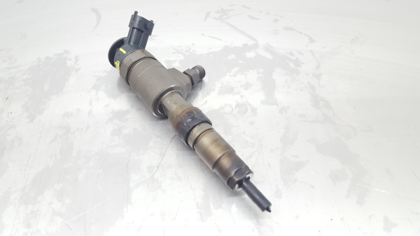 Injector FORD Fiesta VI (CB1, CCN)
