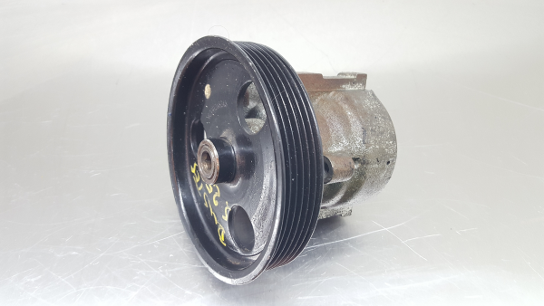 Pompa dello sterzo DACIA Duster (HS_)