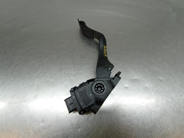 Pedal do acelerador CITROËN C3 II (SC_) Imagem-1