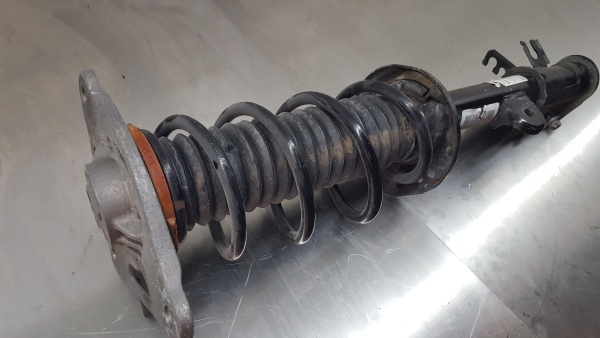 Amortiguador Trasero Izquierdo JEEP Renegade (BU, B1) Imagem-1