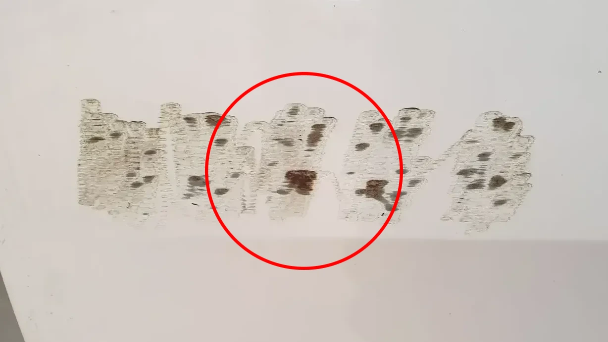 Porta anteriore sinistra SEAT Toledo IV (KG3) Imagem-4