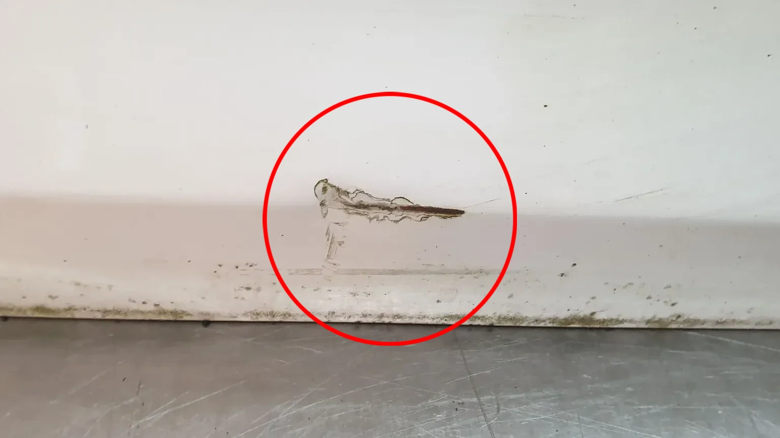 Porta trás direita SEAT Toledo IV (KG3) Imagem-4